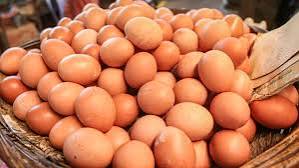 মেসার্স দাদা ভাই এন্টারপ্রাইজ